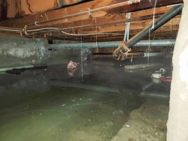 Best Emergency water damage restoration  in Lake Waccamaw, NC