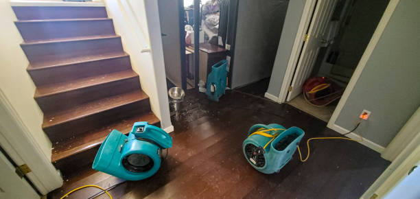 Best Water damage contractors near me  in Lake Waccamaw, NC