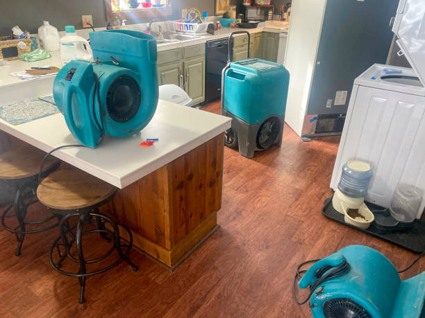 Best Ceiling water damage repair  in Lake Waccamaw, NC