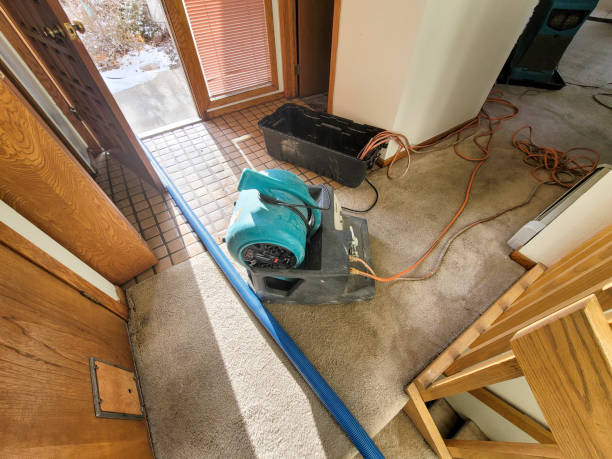 Best Carpet water damage restoration  in Lake Waccamaw, NC