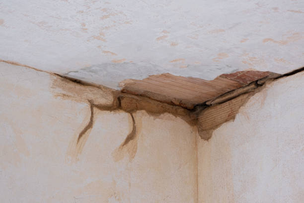 Best Water damage cleanup near me  in Lake Waccamaw, NC